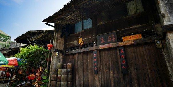 拯救精灵的土地10